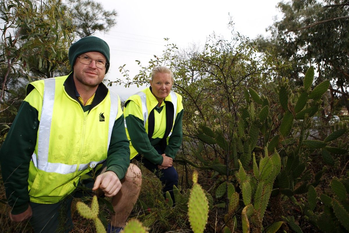 Man and woman in hi-vis vests crouched beside blind cactus