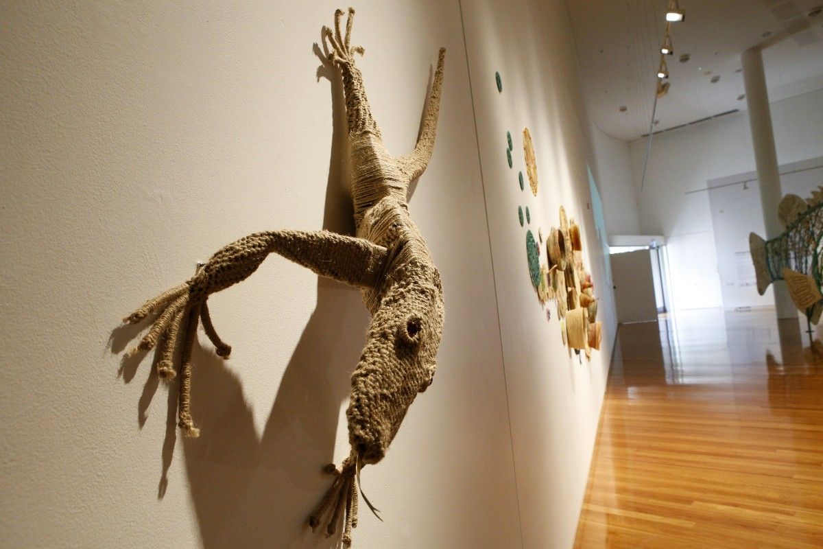 First Nations weaving of goanna, on the wall of art gallery