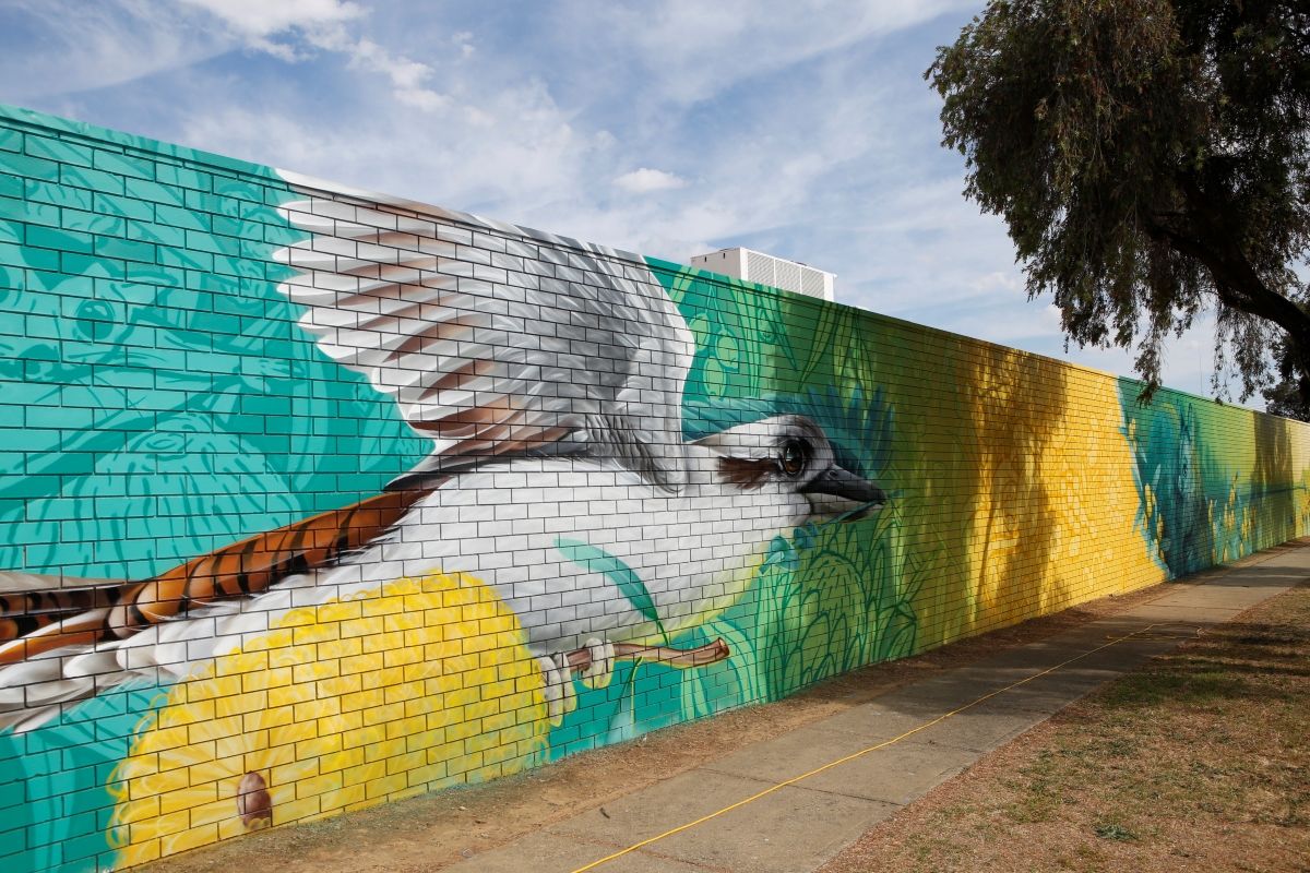 A large mural depicting a kookaburra