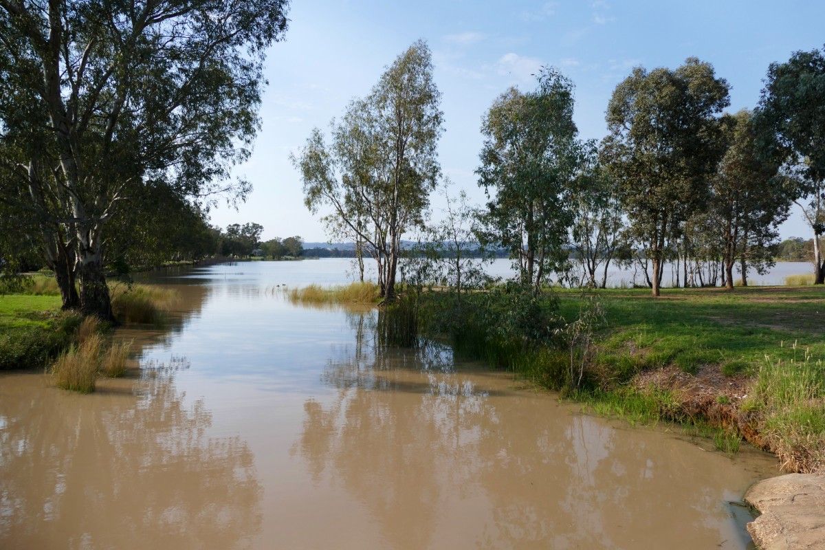 Small weir at end of a lake, surrounded by trees.