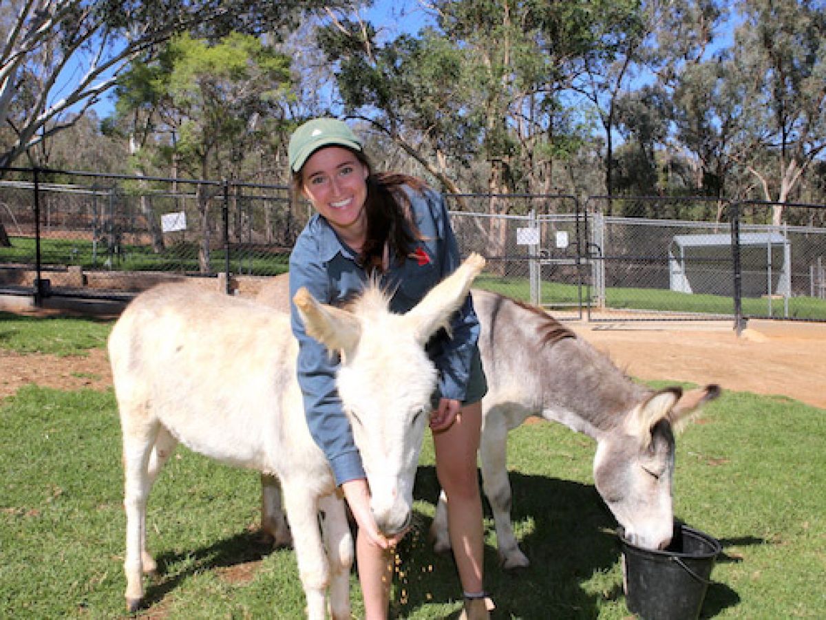 Donkeys and zookeeper