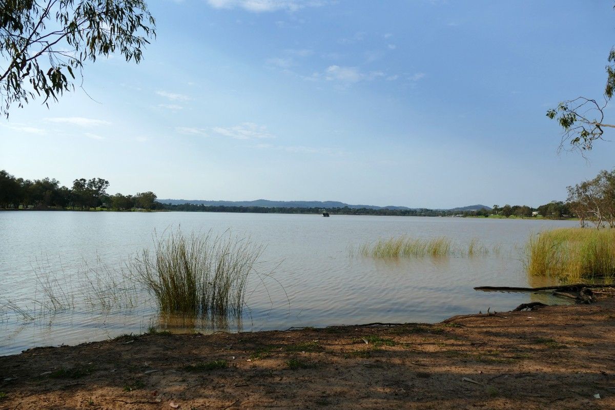 Wide view of lake in morning, with reeds along bank in foreground.