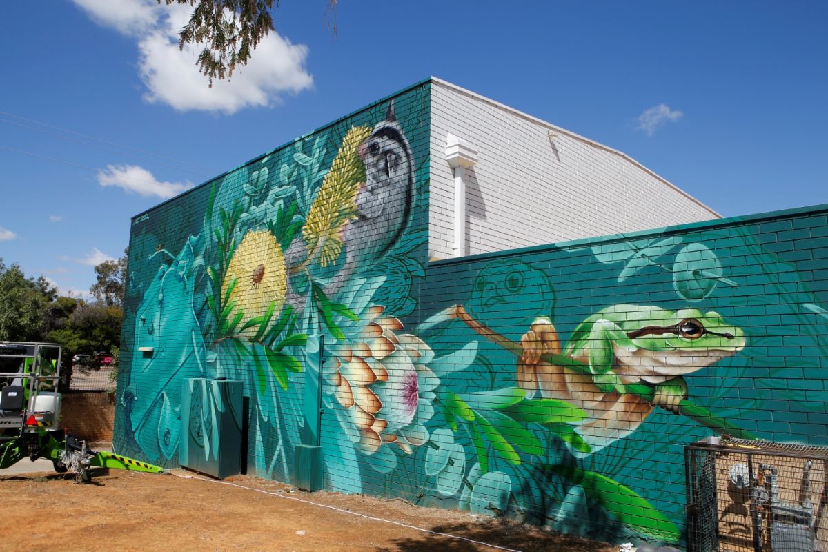 Large mural depicting a frog and possum.