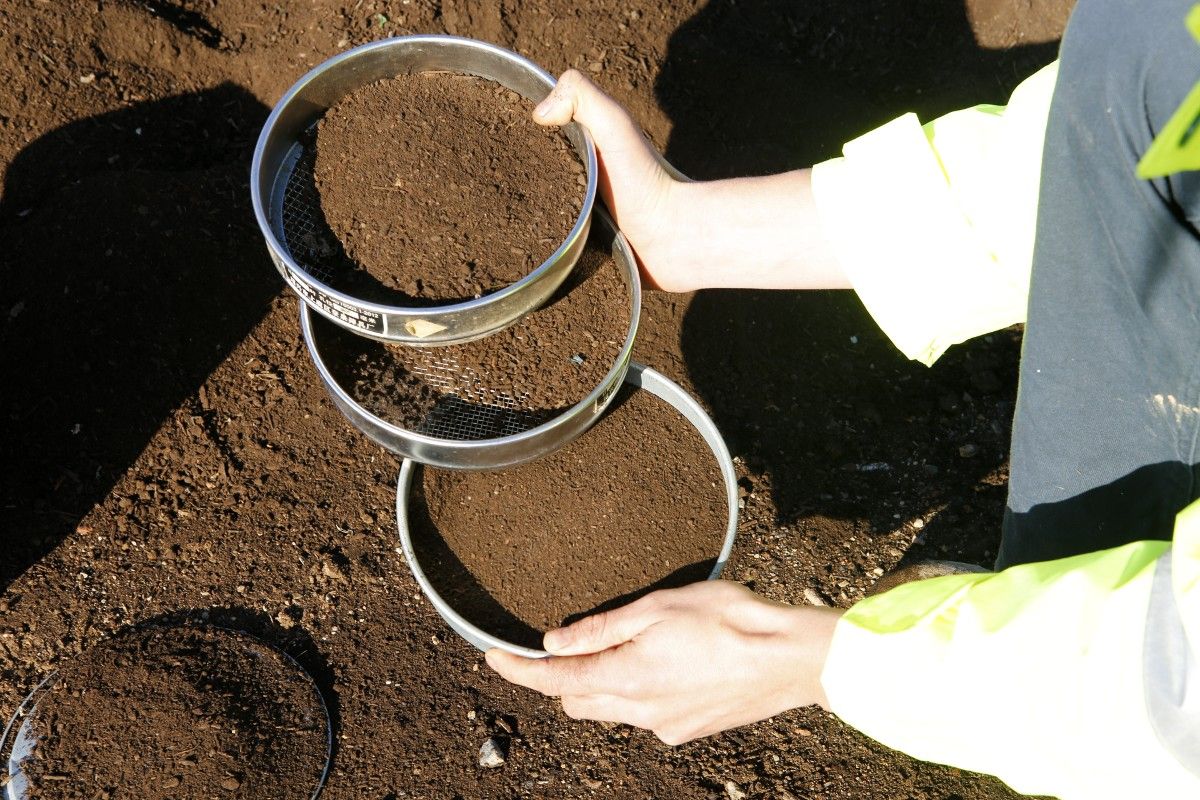 A close up of hands holding three metal mesh strainers, or sieves, full of compost.