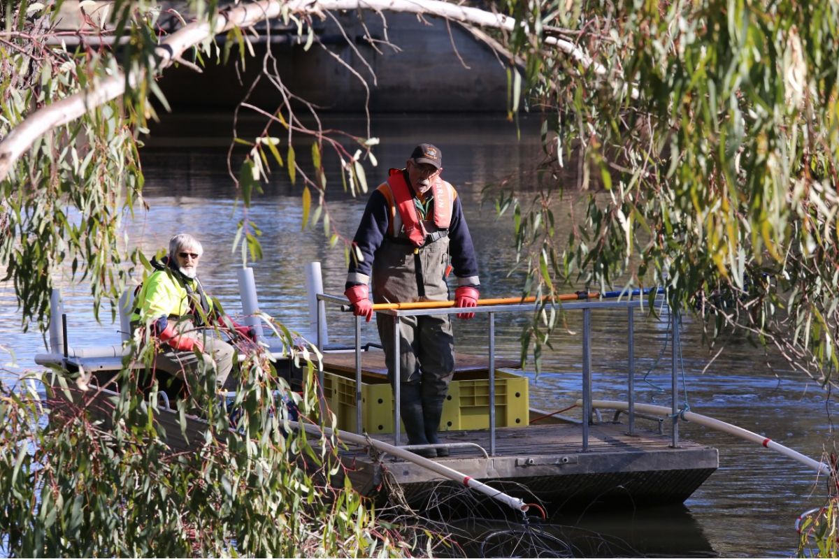 Two fisherpersons in a floating vessel