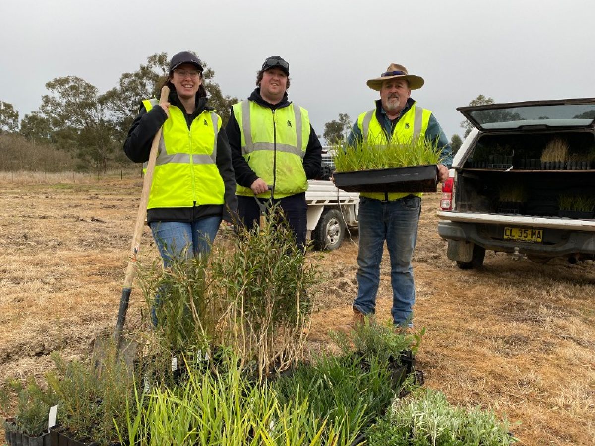 A woman and two men in stand beside a large grouping of seedlings