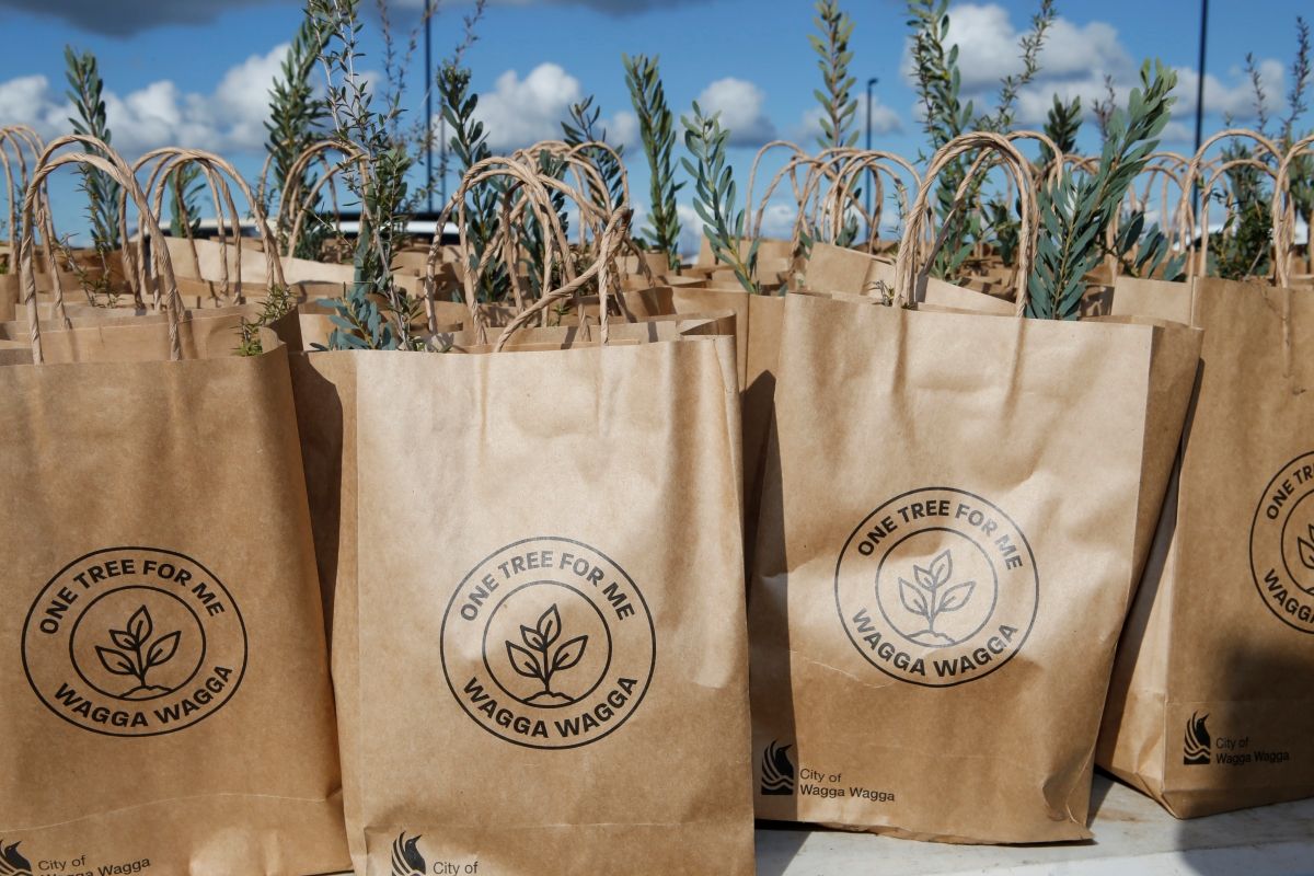 Bags of seedlings sitting on a table outside.