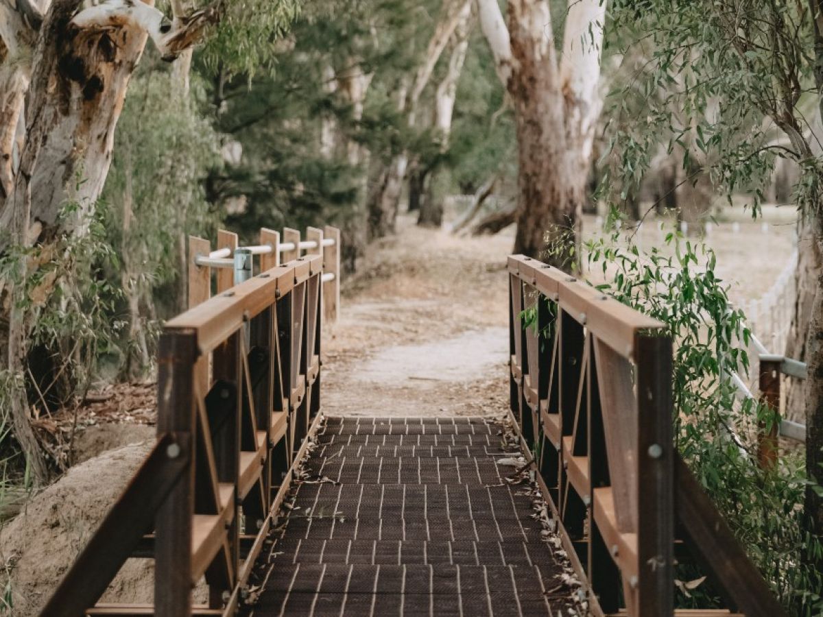 Footbridge in natural surrounds