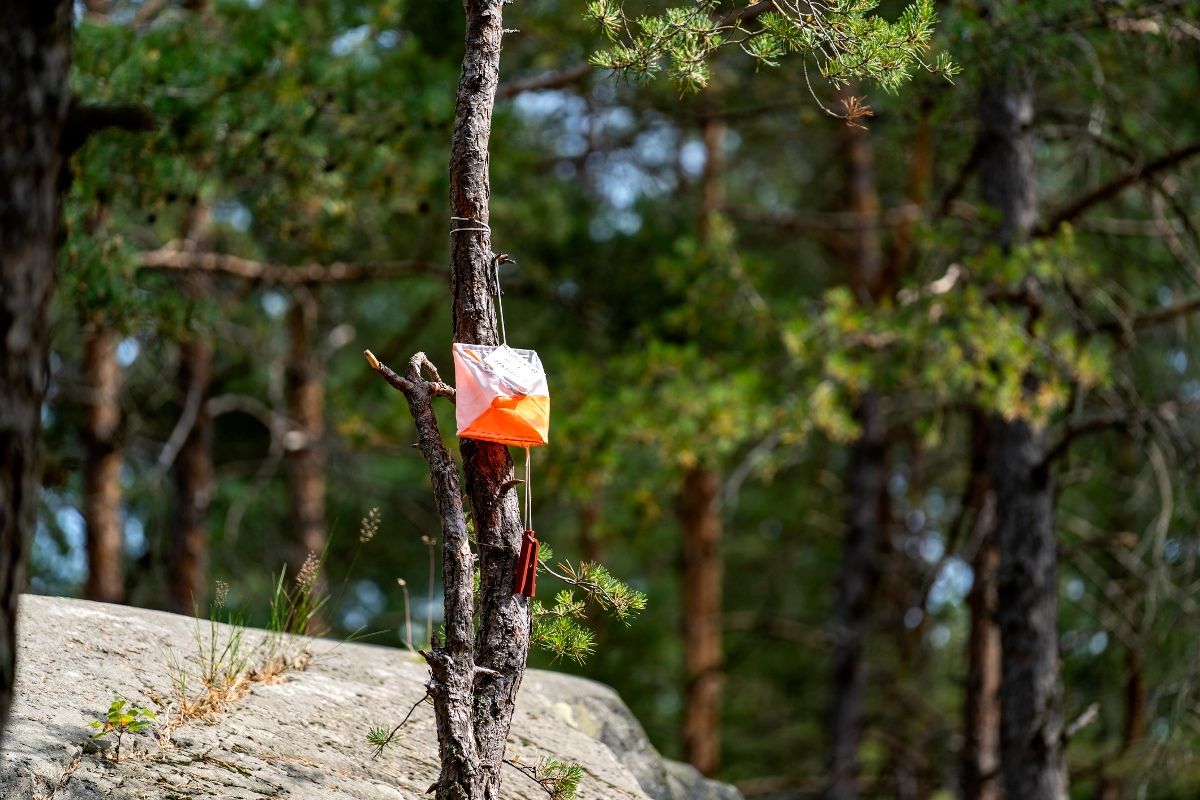 Orienteering check point flag