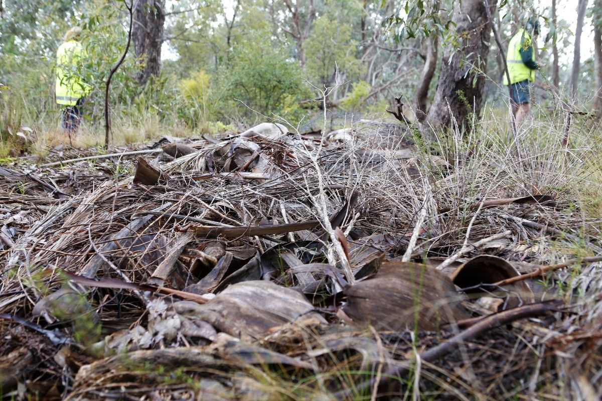 dumped garden waste