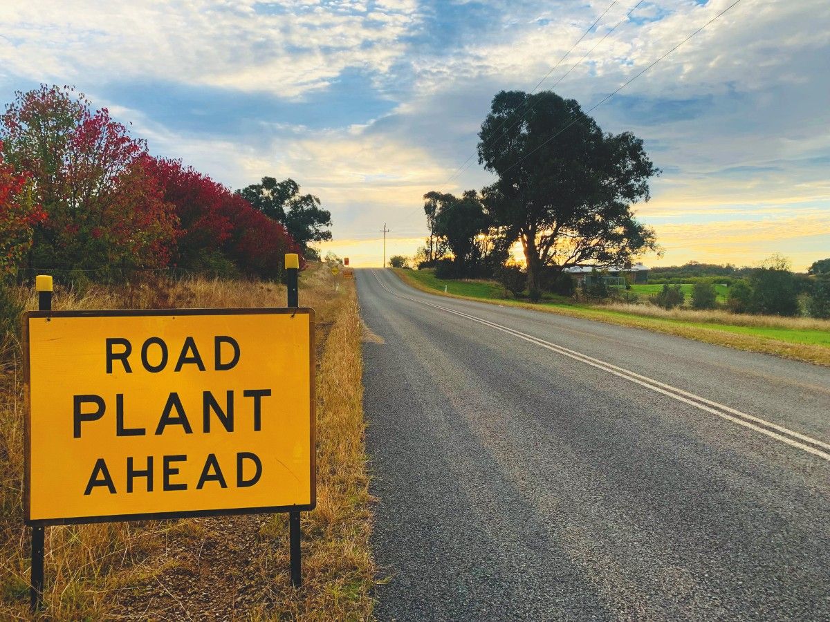 Road Plant Ahead sign beside road