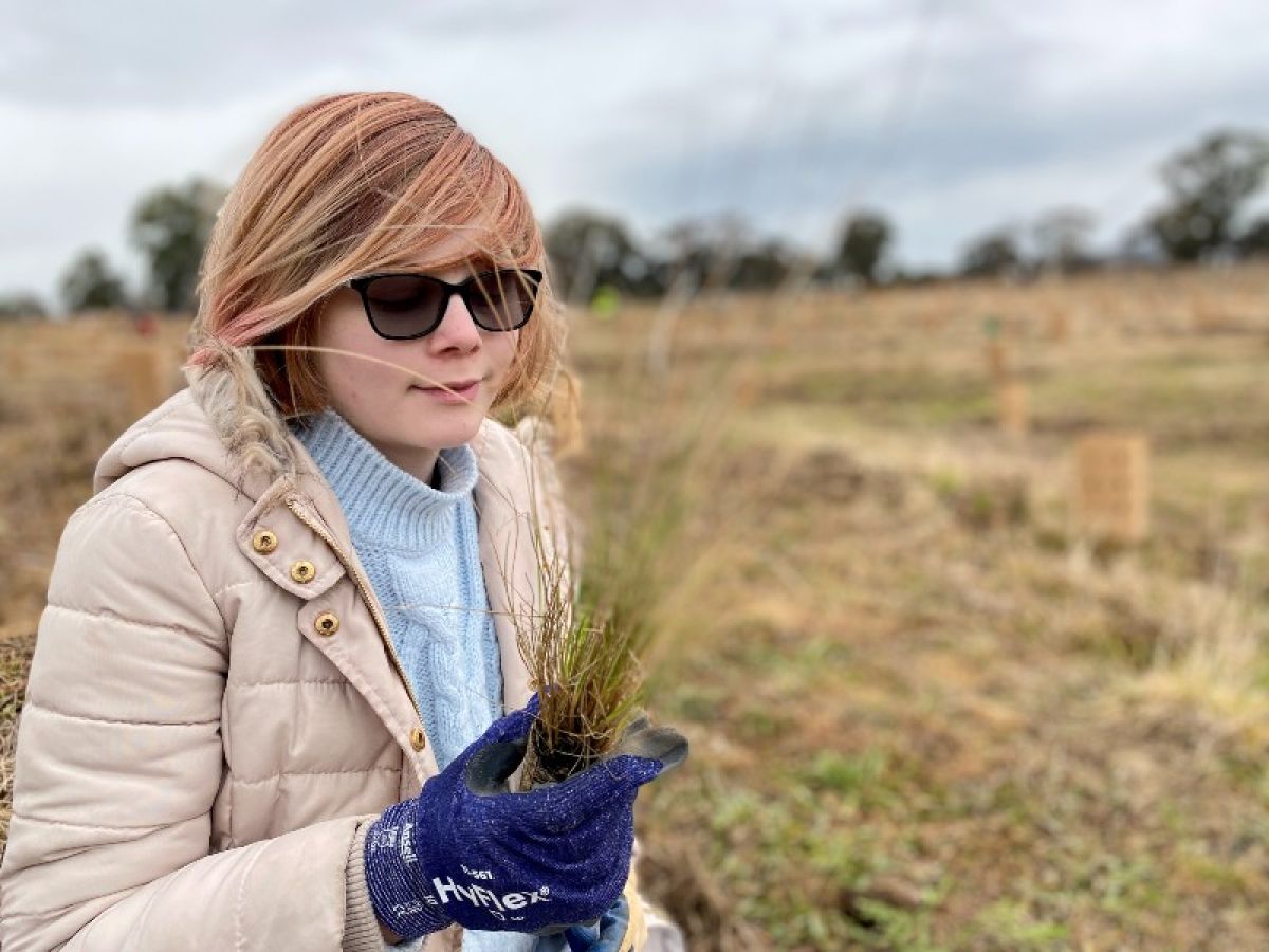 A young girl holding a native grass seedling