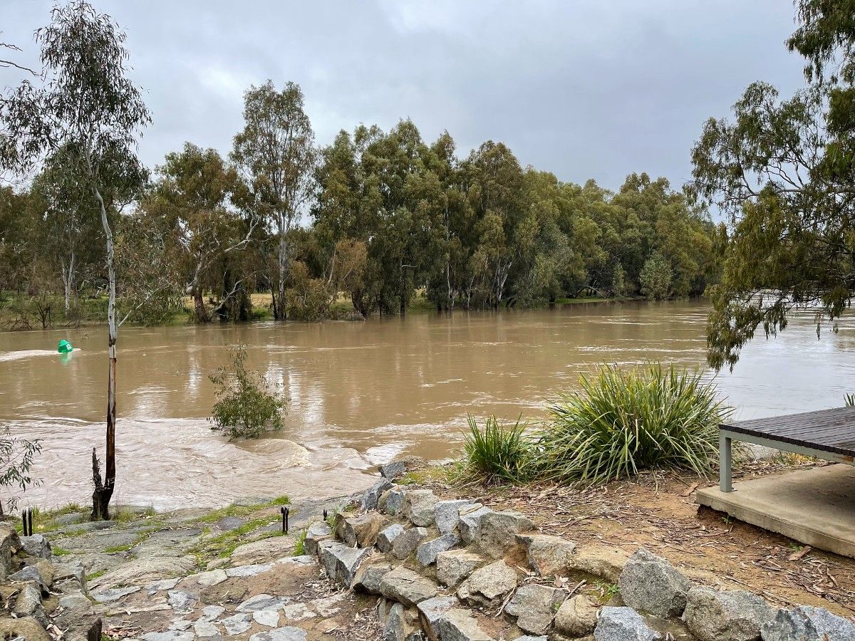 River in moderate flood