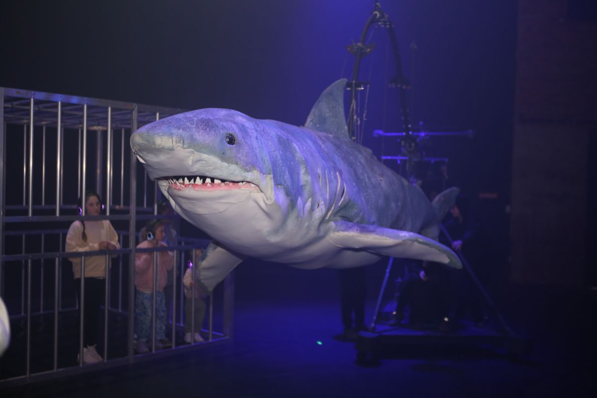 Great white shark puppet with rig and performers