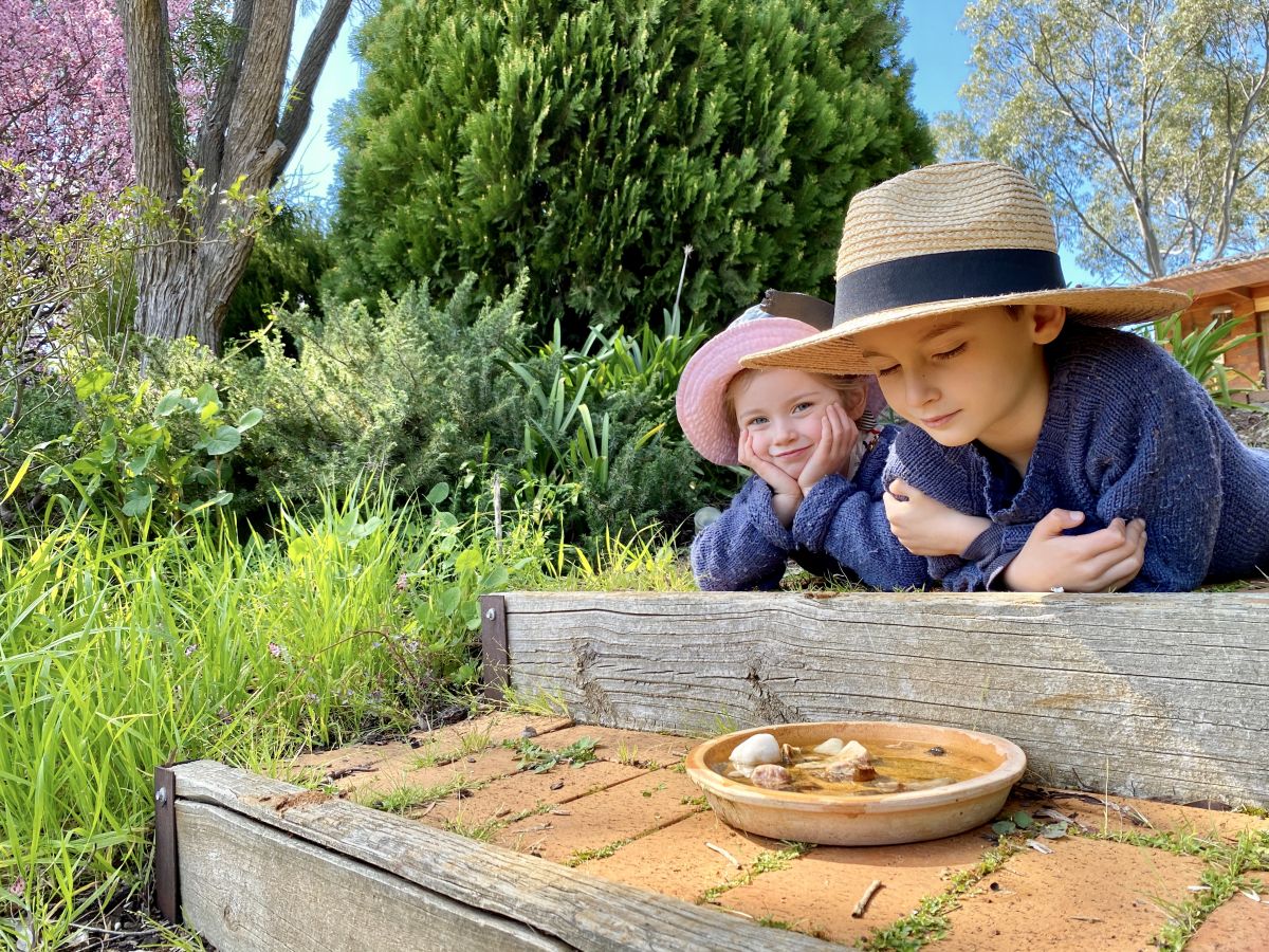 girl and boy looking a saucer filled with water, rocks and sticks