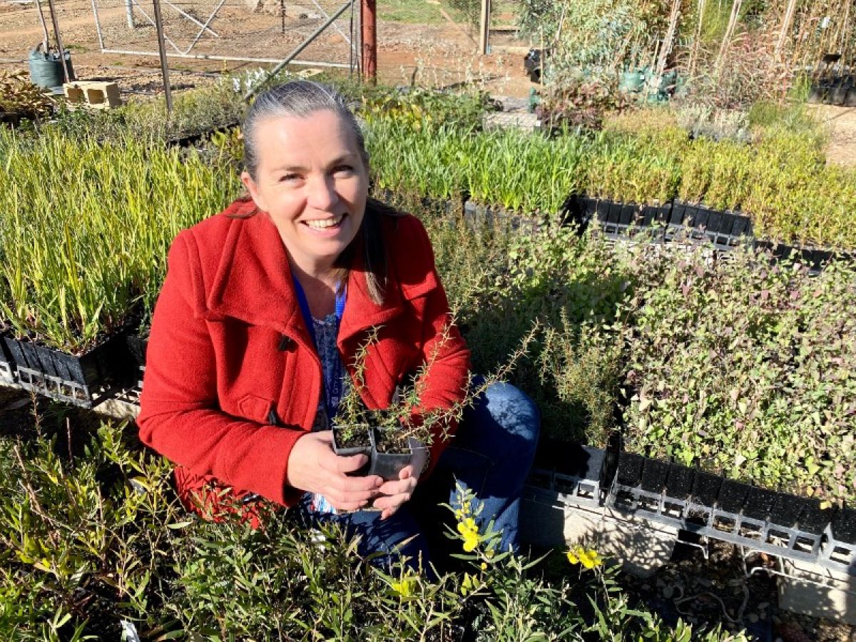 Woman in red jacket surrounded by green seedlings