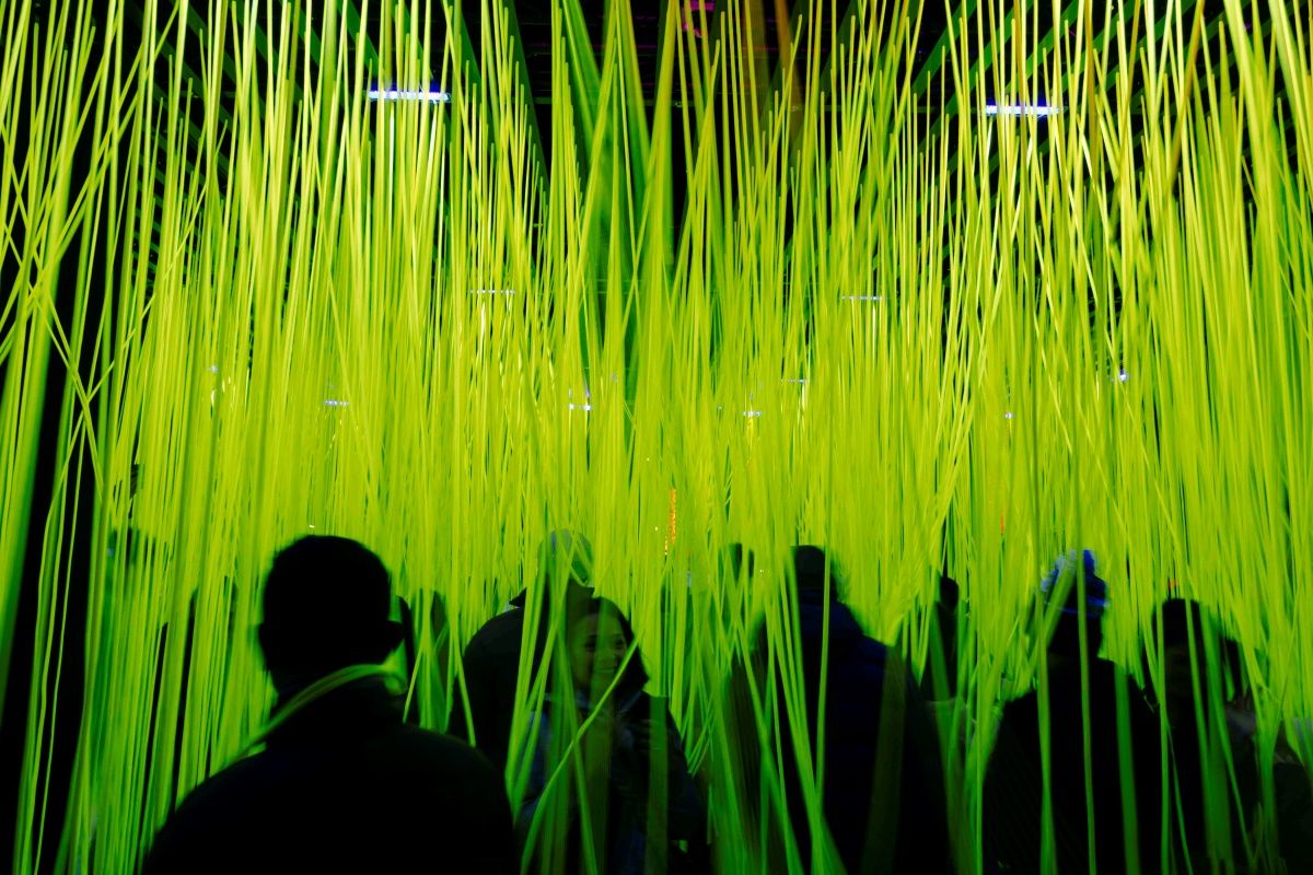 Festival-goers weaving their way amid UV spaghetti lights.