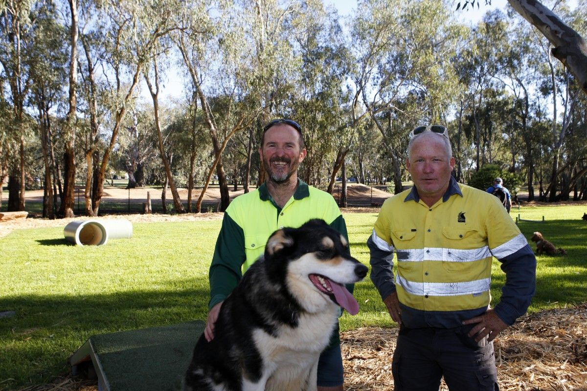 Two men in high visibility vests standing next to a dog agility ramp, with a Border Collie Kelpie cross dog sitting on the ramp.