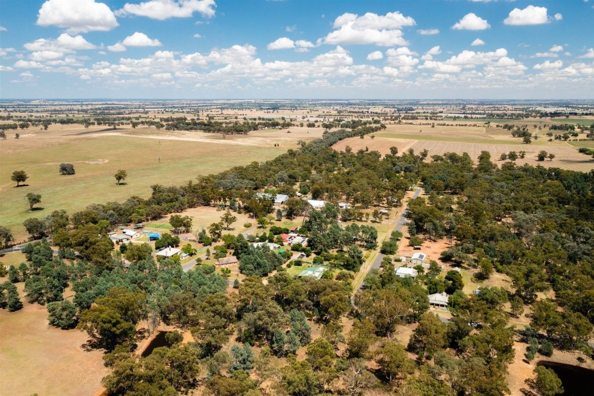 Aerial view of rural village, with houses and yards surrounded by trees and farm land in the background.