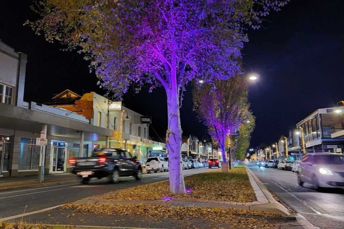 Purple lights shine on tree on a median strip.