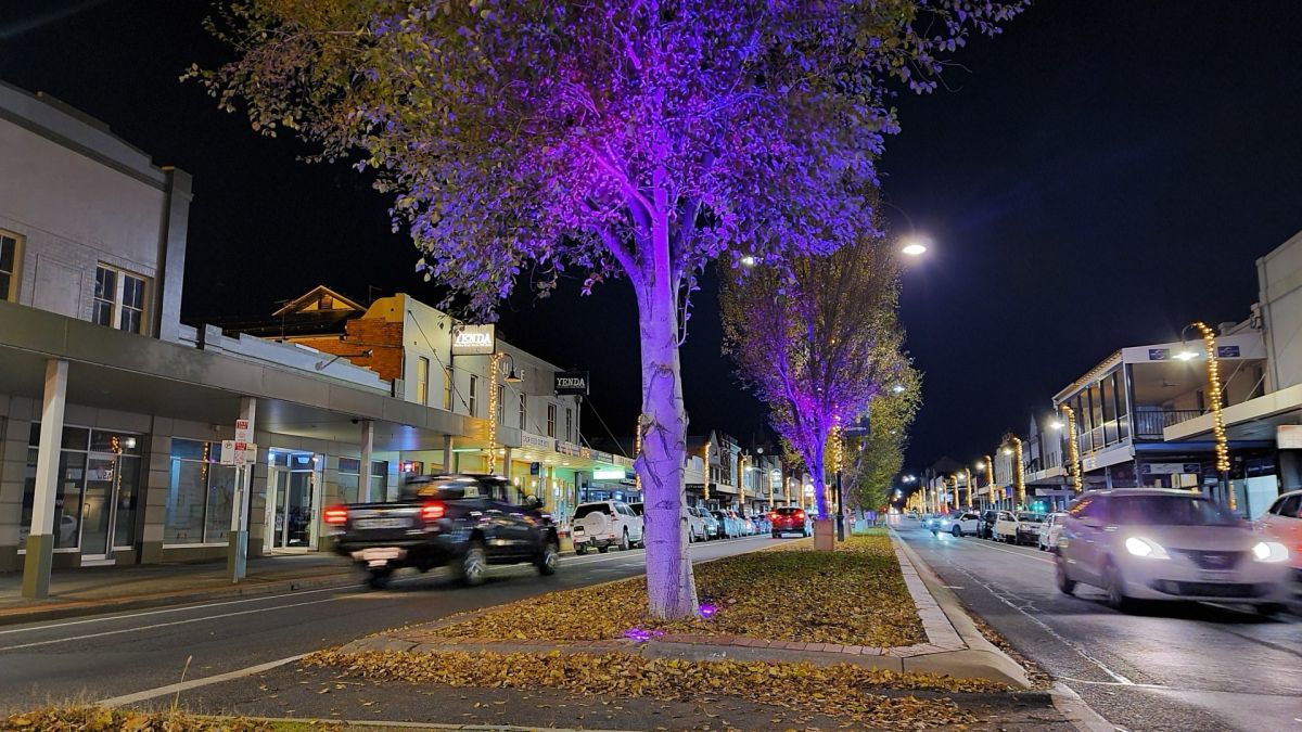 Main street trees bathed in purple uplighting at night