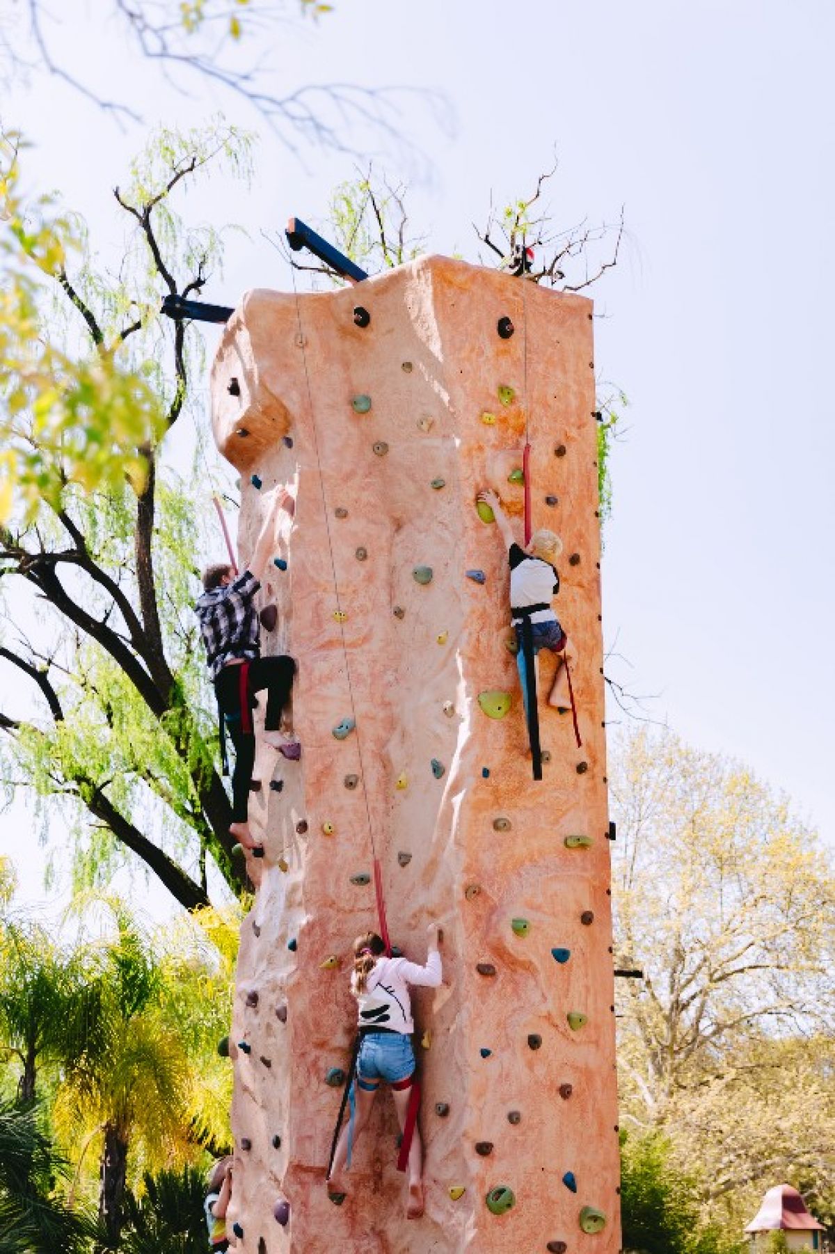 Three kids on rock climbing tree