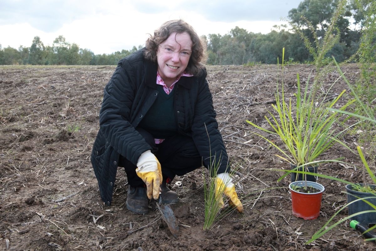 Woman outside with spade and seedling.