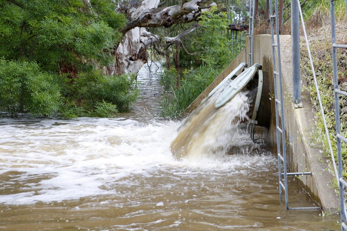 Water being pumped through levee