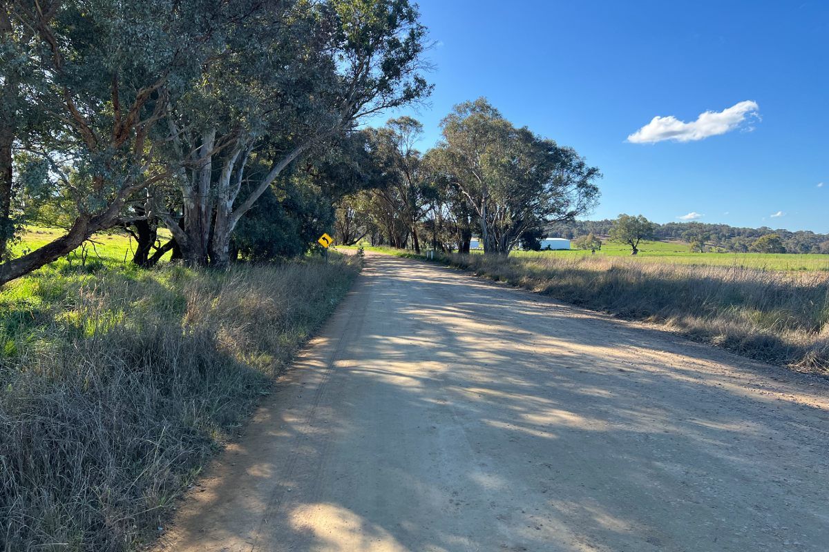 Dirt road in rural area