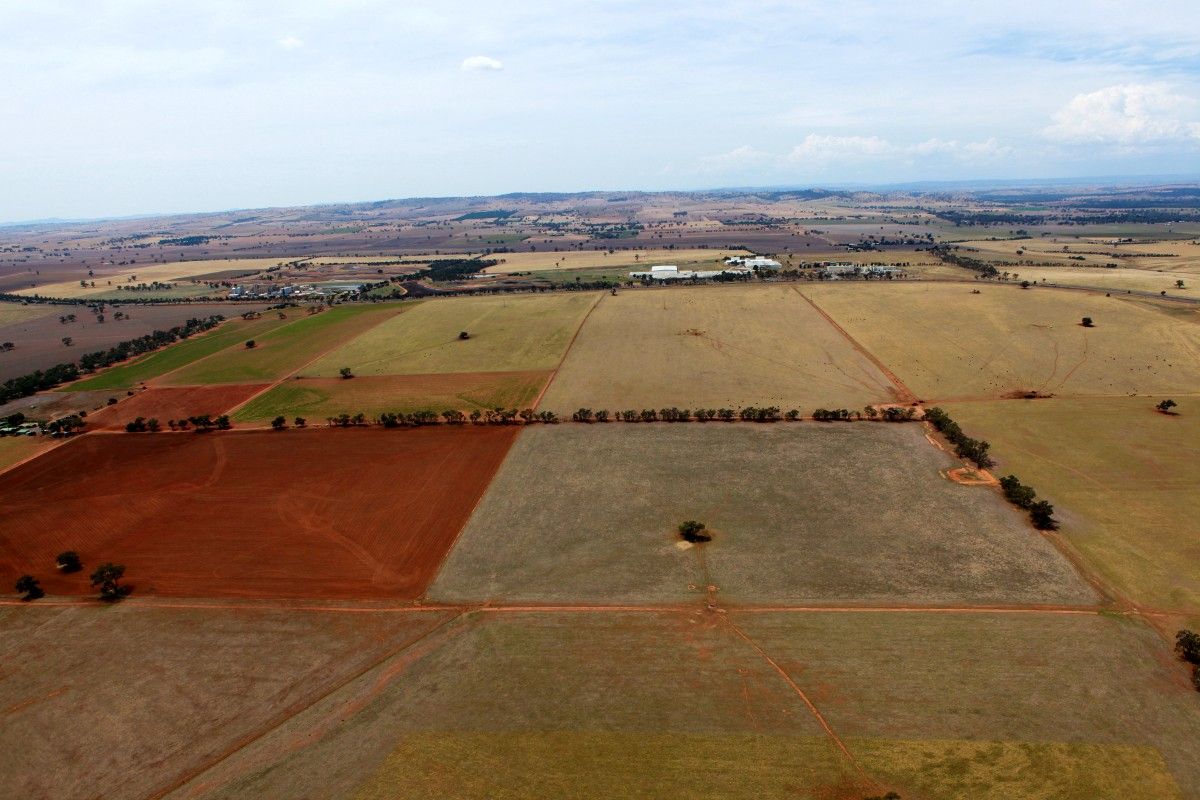 Aerial of agricultural land in summer, with browned off paddocks and low dams.