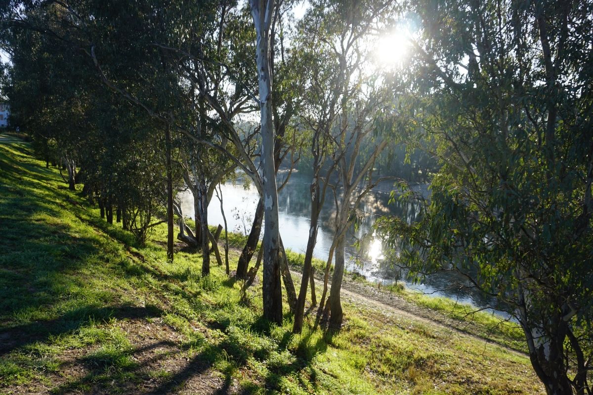 Photograph of Murrumbidgee River taken from Wiradjuri Trail